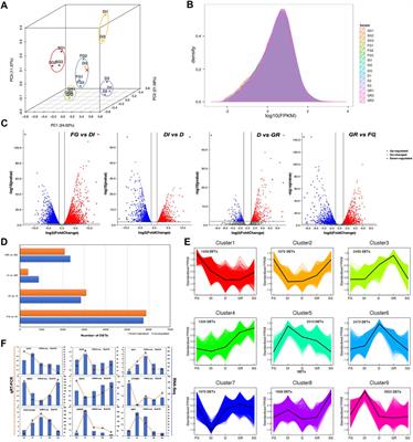 Hybrid RNA Sequencing Strategy for the Dynamic Transcriptomes of Winter Dormancy in an Evergreen Herbaceous Perennial, Iris japonica